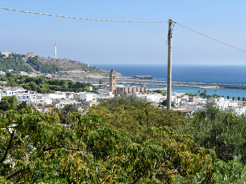 foto principale del terreno