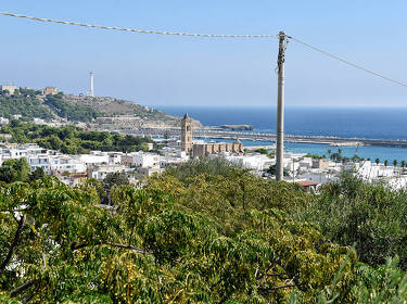foto principale del terreno