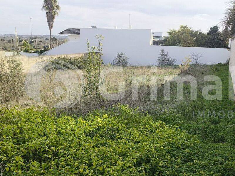 foto principale del terreno