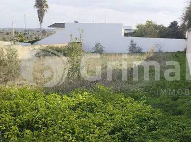 foto principale del terreno