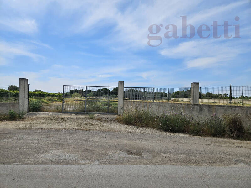 foto principale del terreno