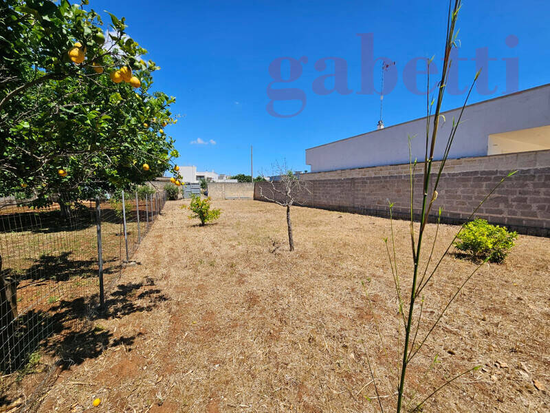 foto principale del terreno