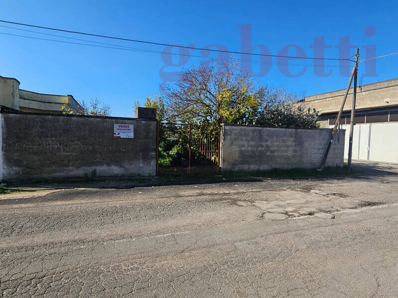 foto principale del terreno