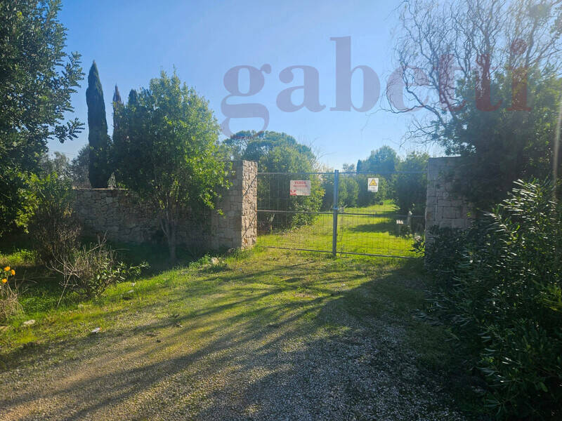 foto principale del terreno