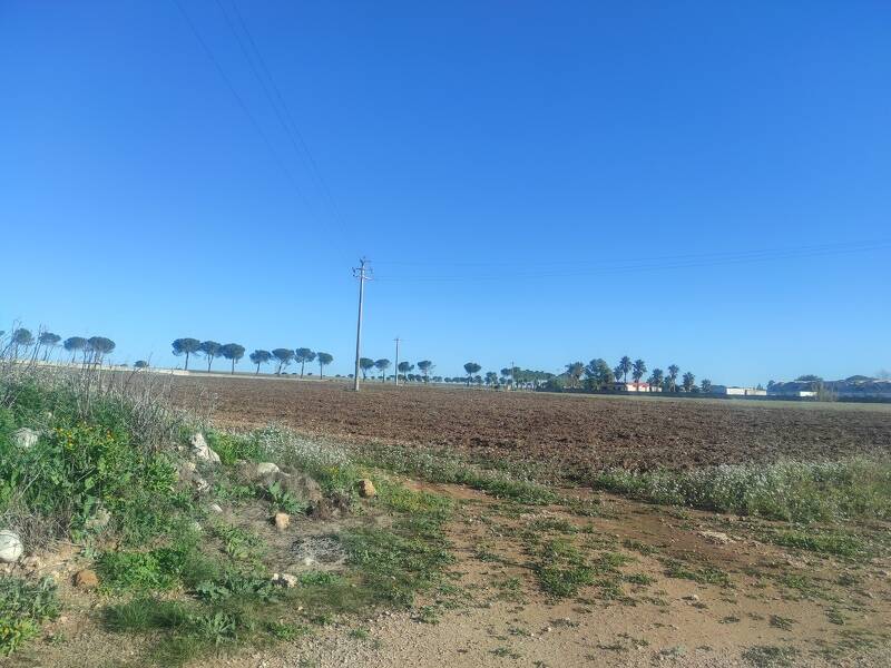 foto principale del terreno