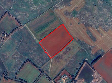 foto principale del terreno