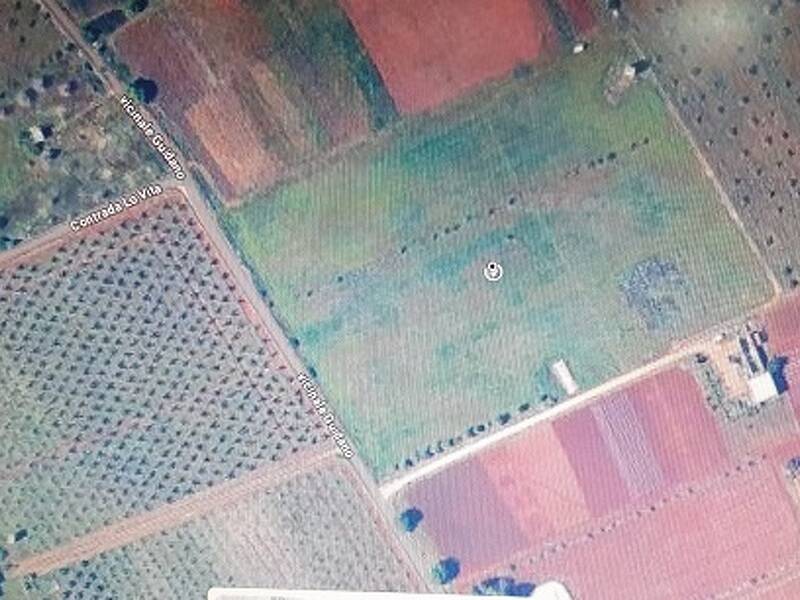 foto principale del terreno