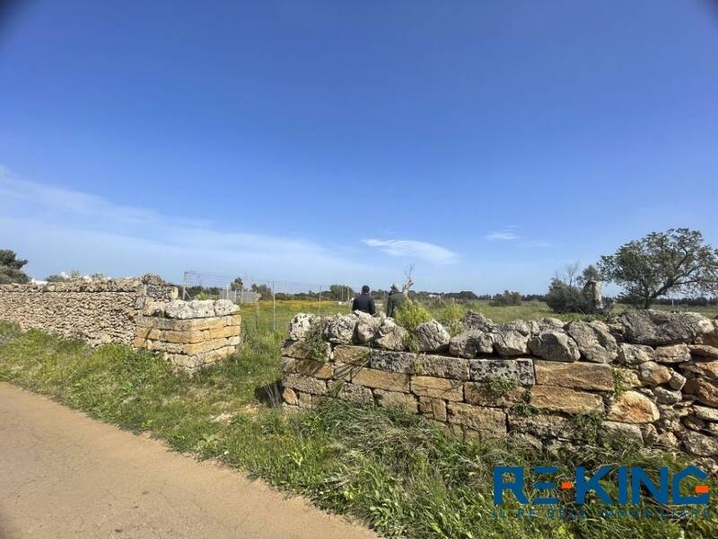 foto principale del terreno