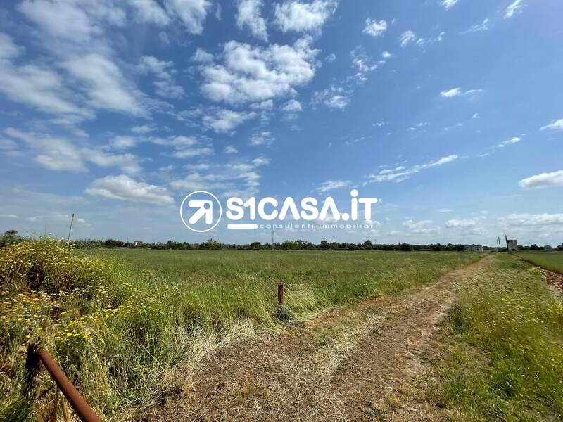 foto principale del terreno