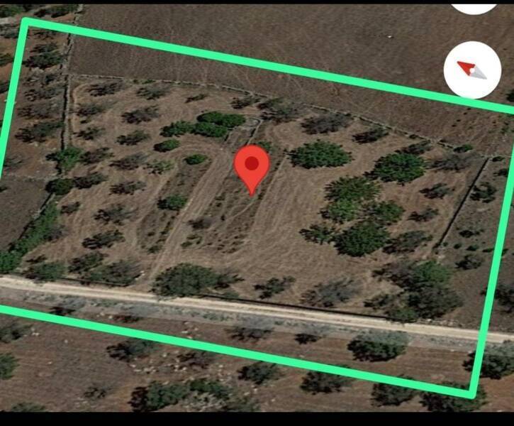 foto principale del terreno
