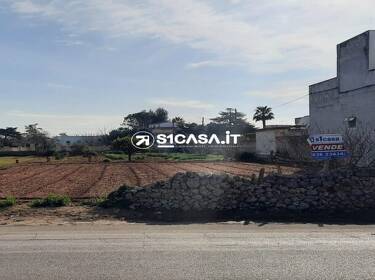 foto principale del terreno