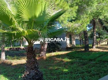 foto principale del terreno