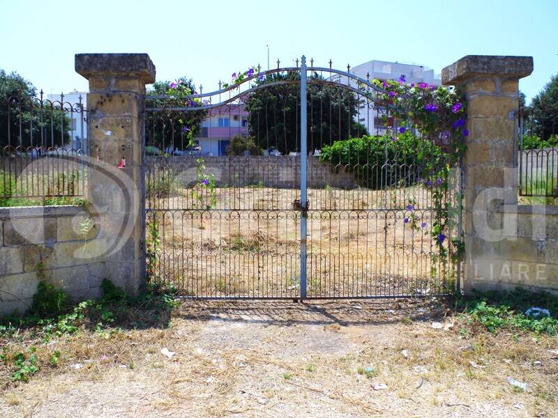 foto principale del terreno