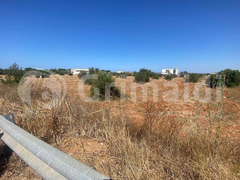 foto principale del terreno