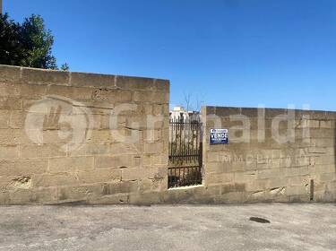 foto principale del terreno