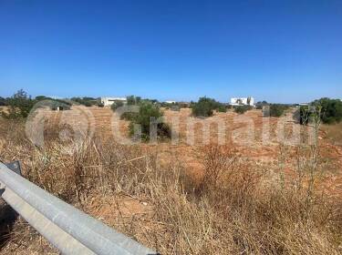 foto principale del terreno