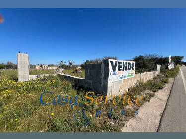 foto principale del terreno