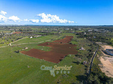 foto principale del terreno