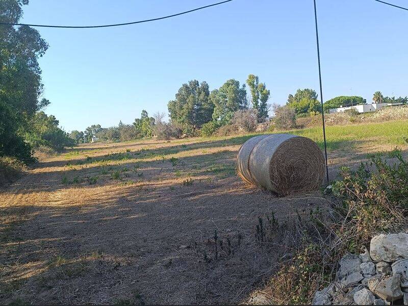 foto principale del terreno