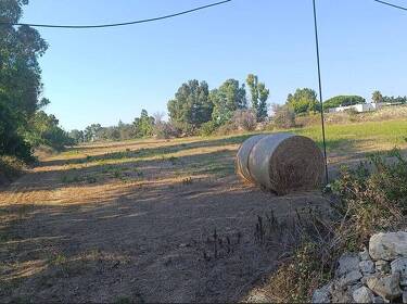 foto principale del terreno
