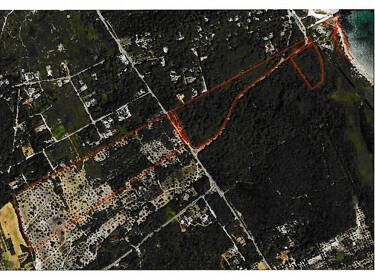 foto principale del terreno