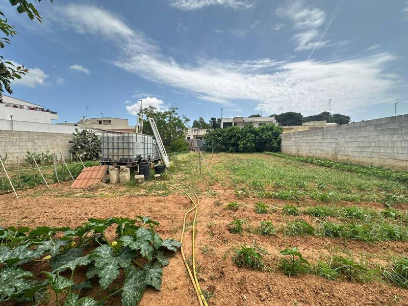 foto principale del terreno