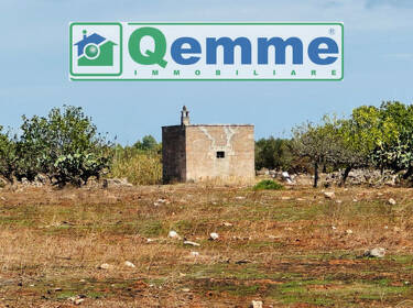 foto principale del terreno