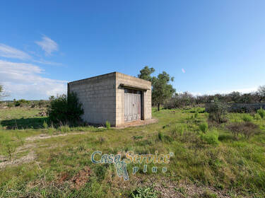 foto principale del terreno