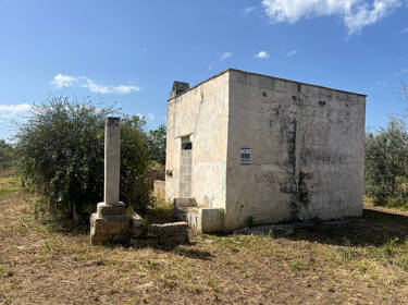 foto principale del terreno