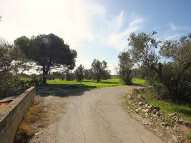 foto principale del terreno