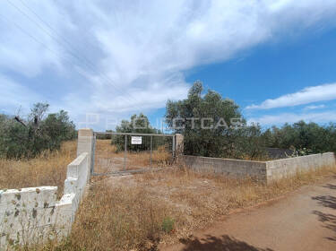 foto principale del terreno