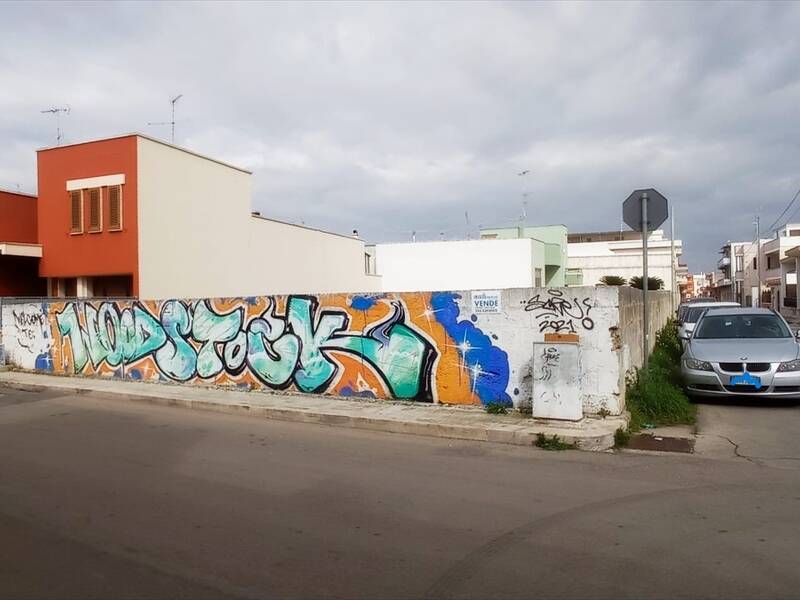 foto principale del terreno