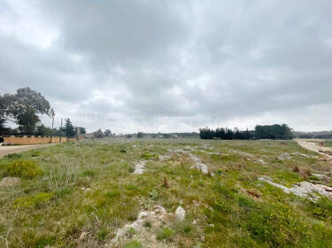 foto principale del terreno