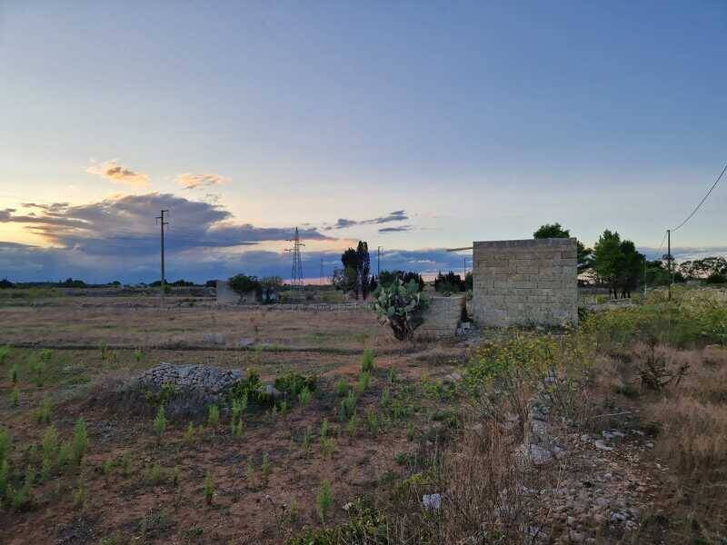 foto principale del terreno