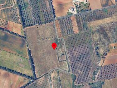 foto principale del terreno