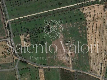 foto principale del terreno