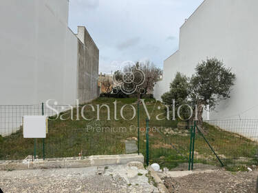 foto principale del terreno