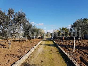 foto principale del terreno