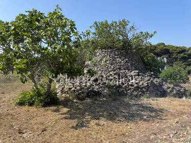 foto principale del terreno