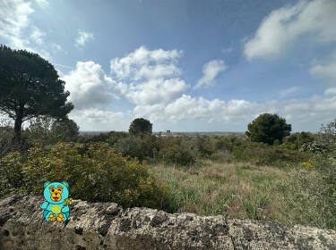 foto principale del terreno