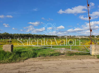 foto principale del terreno