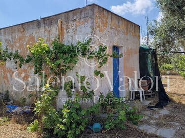 foto principale del terreno