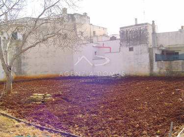 foto principale del terreno