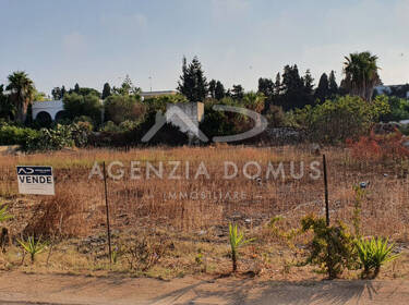 foto principale del terreno