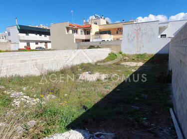 foto principale del terreno