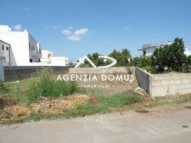 foto principale del terreno