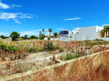 foto principale del terreno