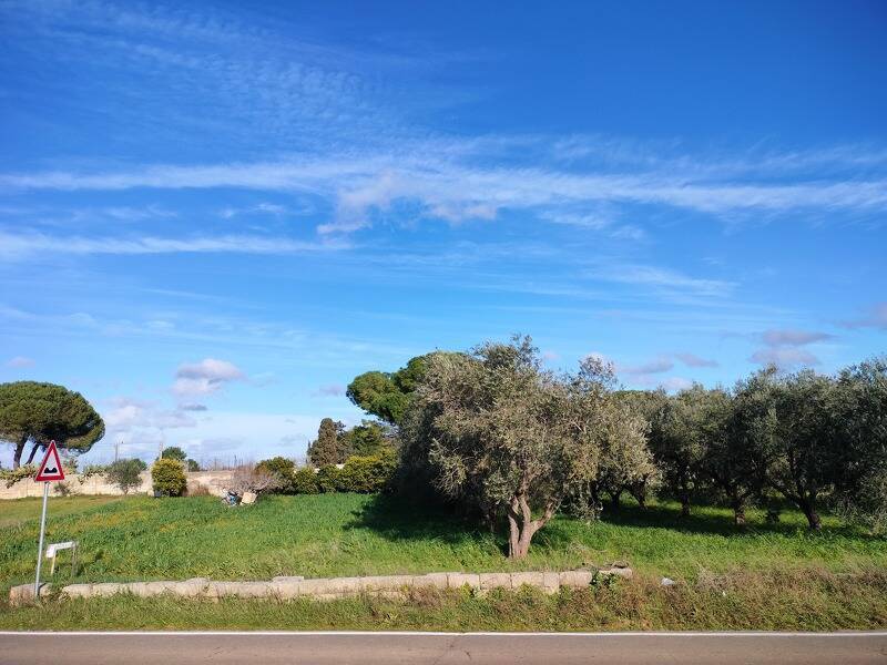 immagine annuncio 2 di 4
