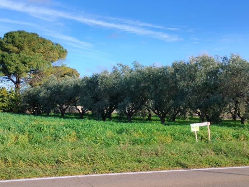 immagine annuncio 3 di 4