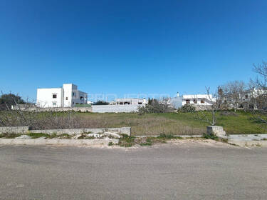 foto principale del terreno